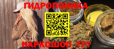 прущие крисы Будённовск