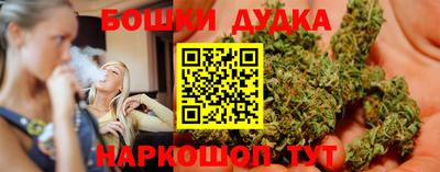 прущие крисы Будённовск