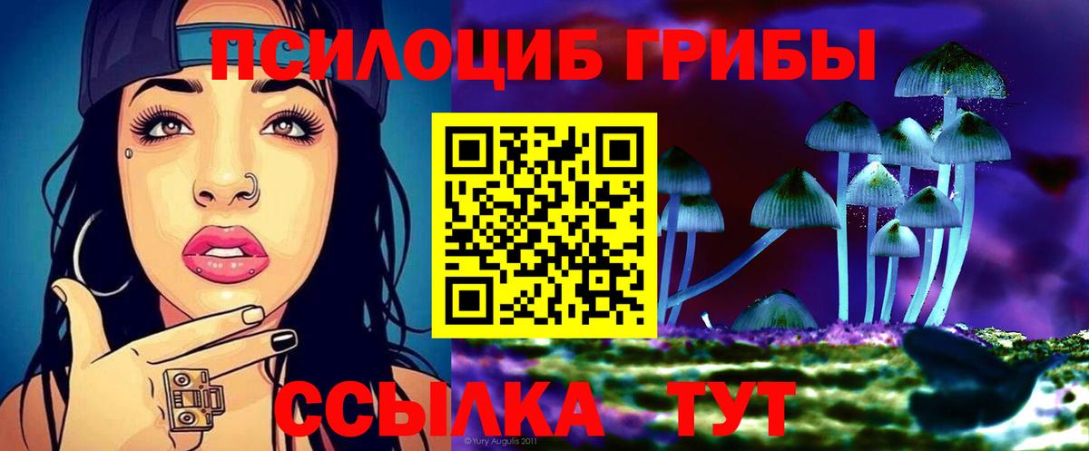 Галлюциногенные грибы прущие грибы  продажа наркотиков  Чебоксары  Вход с VPN 